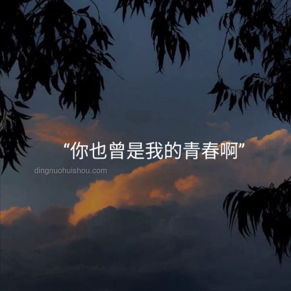 **如果白月光是一个男人永远的意难平，那这一世换我保护你...**